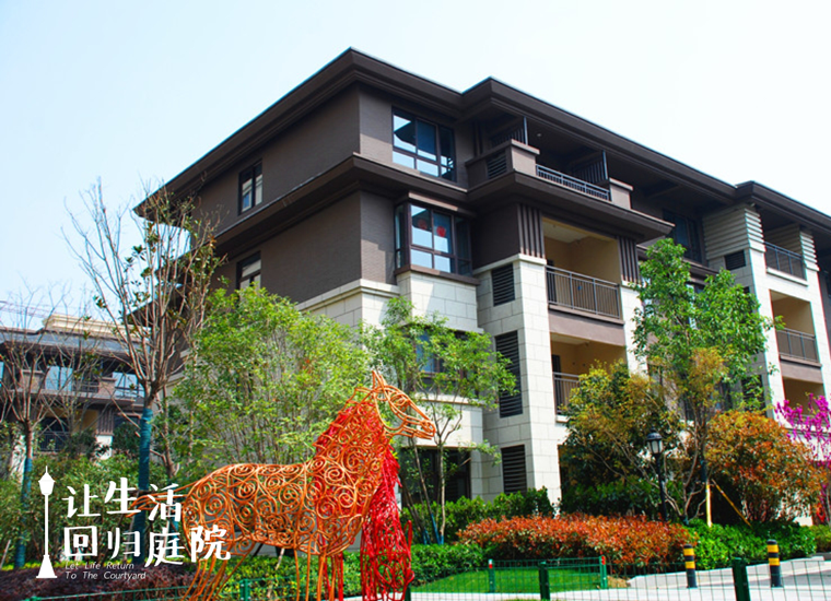 前后张望南阳50年：这样的天井，很难再有了！