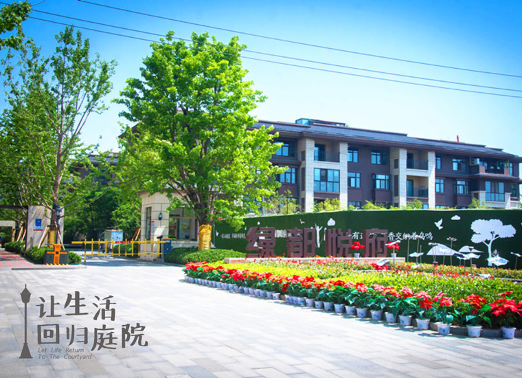 前后张望南阳50年：这样的天井，很难再有了！