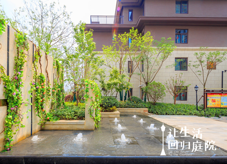 前后张望南阳50年：这样的天井，很难再有了！