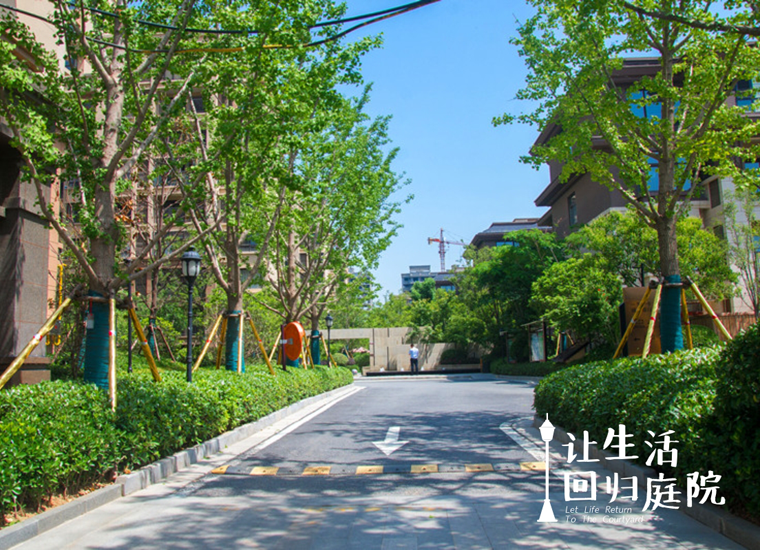 前后张望南阳50年：这样的天井，很难再有了！