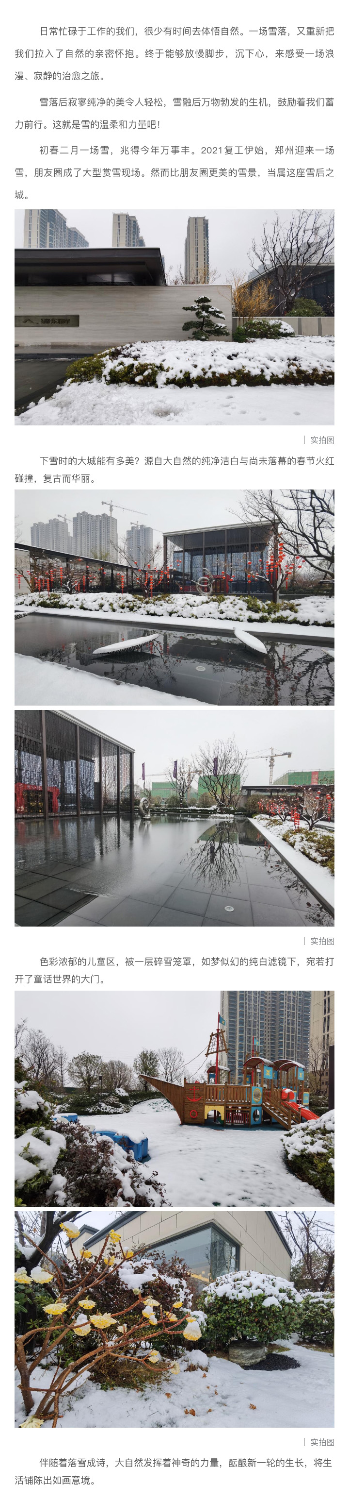 2021浪漫开年，共赏一场鹅毛大雪！