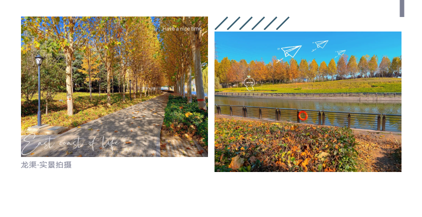 钜惠即止，捡漏经开超人气明星热盘！